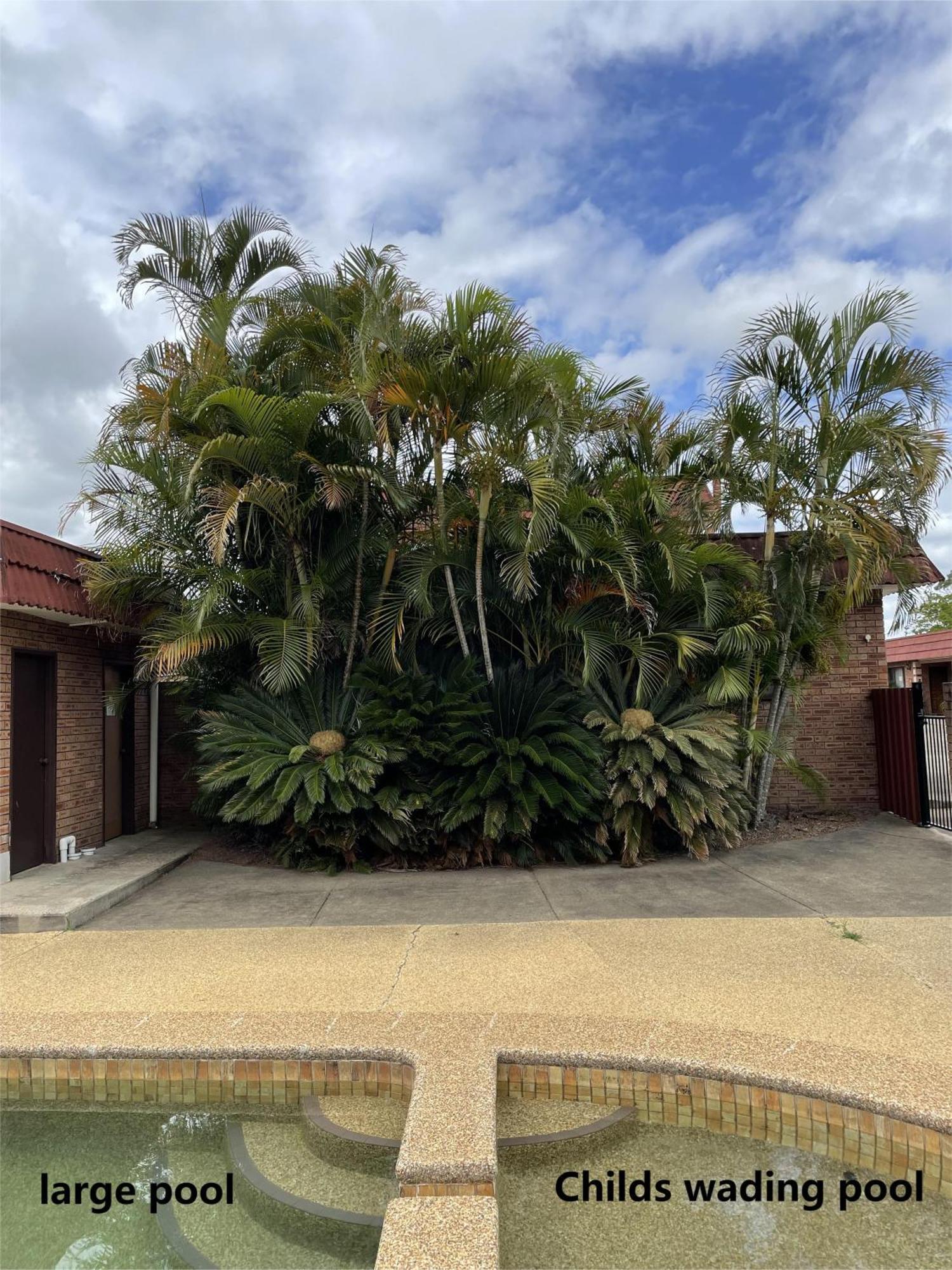 Bulahdelah Motor Lodge Exterior photo